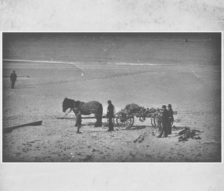 <!--@ItemPublisher:Item.Titel-->